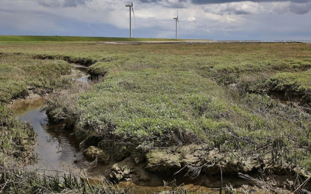 Nice Chalet with Fireplace near Oosterschelde