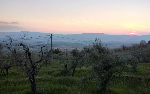 Podere Bellavista