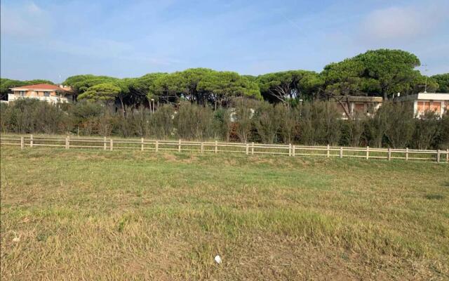 Apartment in Eraclea Mare 40811