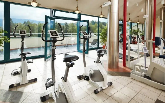 Spa Resort Libverda - Villa Friedland