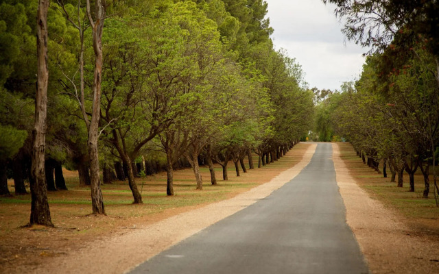 Renmark Resort