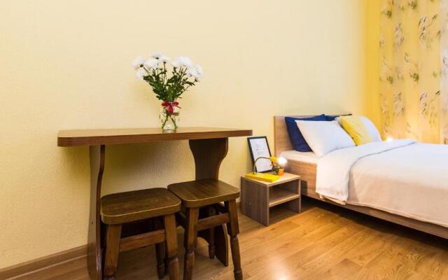 Modern 2BR Apartment in Central Lviv