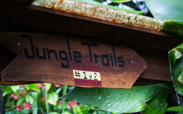 Omega Tours Adventure Company & Eco Jungle Lodge