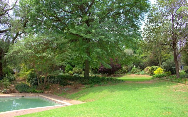 Wild Olive Executive Suite