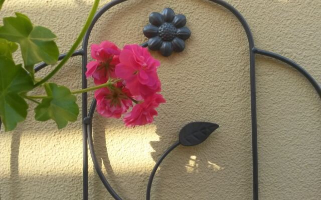 Pension Casa Mica