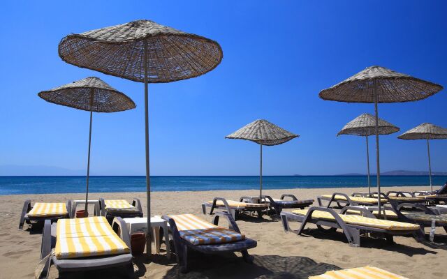 Club Cactus Paradise - All Inclusive
