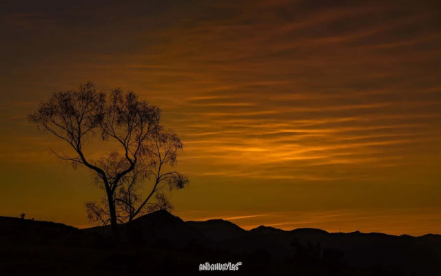 LUX - Hotel Boutique