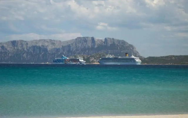 Terranova