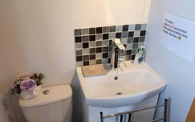 Shepherds Hut-1 Bed-hot Tub-pet Friendly