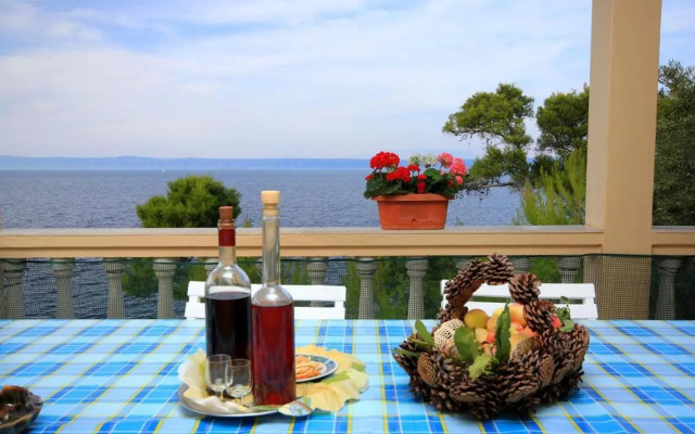 Apartments by the sea Prigradica, Korcula - 9141
