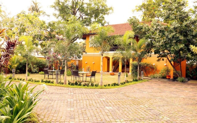 Tea Bungalow