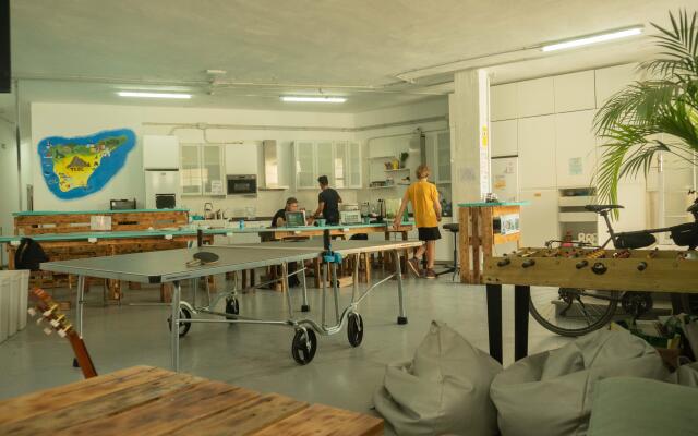 Medano Nest Hostel