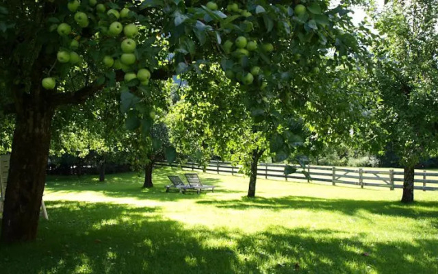 Superior Chalet Wenger Lehen