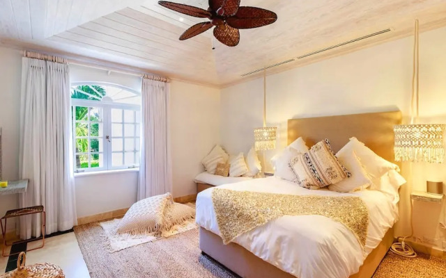 Old Trees 104 - Sunset