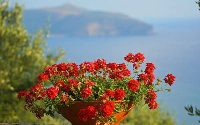 Residenza Golfo Degli Ulivi