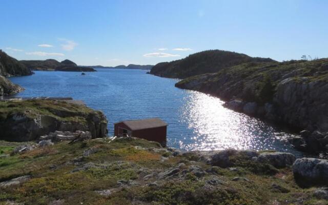 The Old Salt Box Co. - Daisy's Place