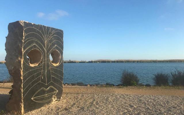 Apartamentos En Deltebre