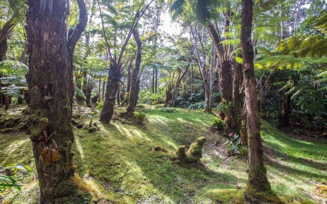 Hale Mauna Loa Lower 3 Bedroom Apts