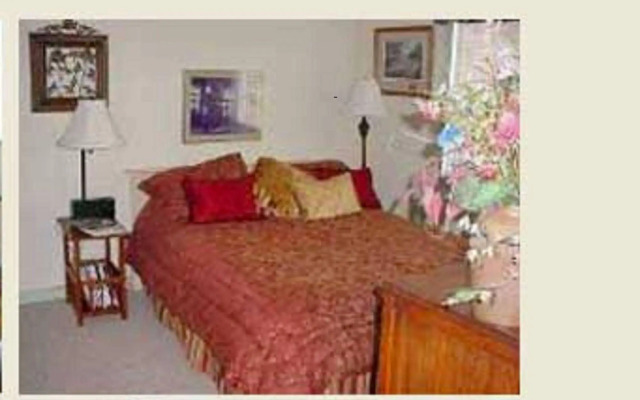 Stone Haus Bed & Breakfast