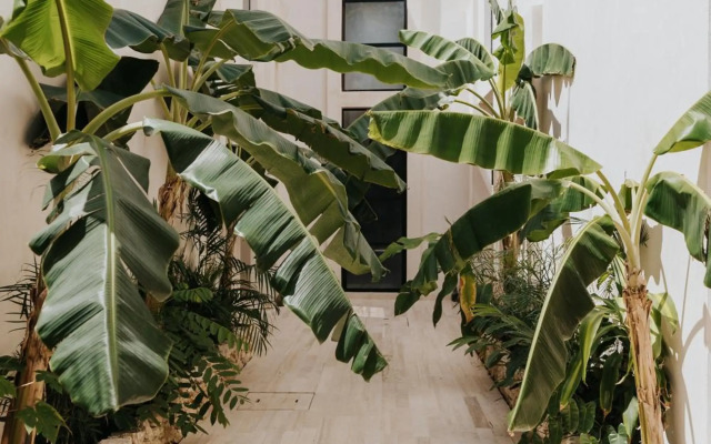 Villa Torana 4br/8pp Private Pool Rooftop Security