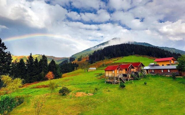 Pilav Dagi Yavuzyilmaz Tesisleri