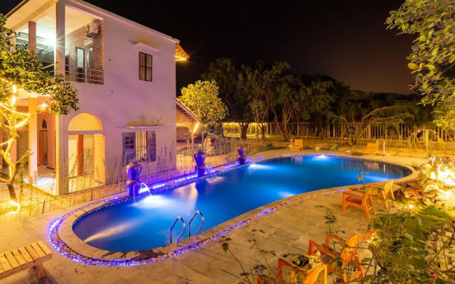 Tam Coc Lavender Homestay