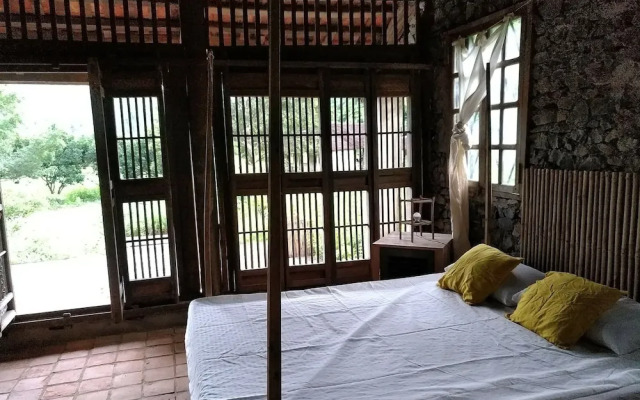 The Ancient House