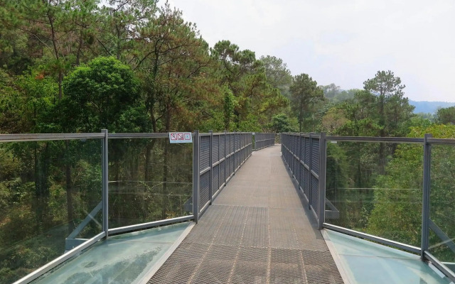 Capital O 469 At Nata Chiangmai Chic View