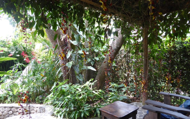 La Iguana Perdida - Hostel