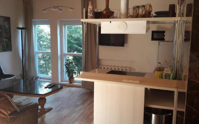 Vilnius Luxury Apartment 2