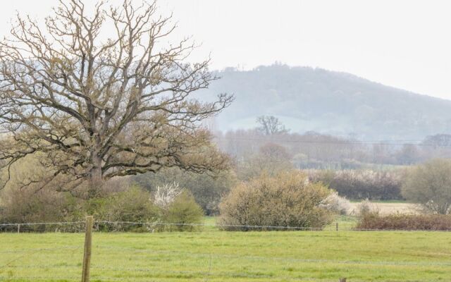 Motcombe Nursery