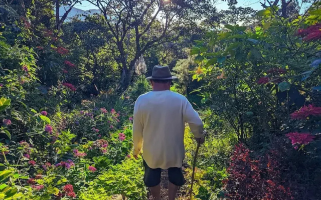 Los Cuatro Olivos Hotel Boutique
