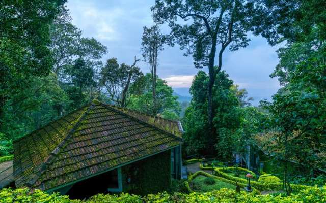 The Tall Trees Munnar