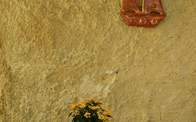 House Inside Garden