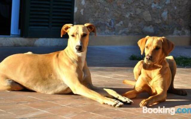 Finca Hotel C'An Bota