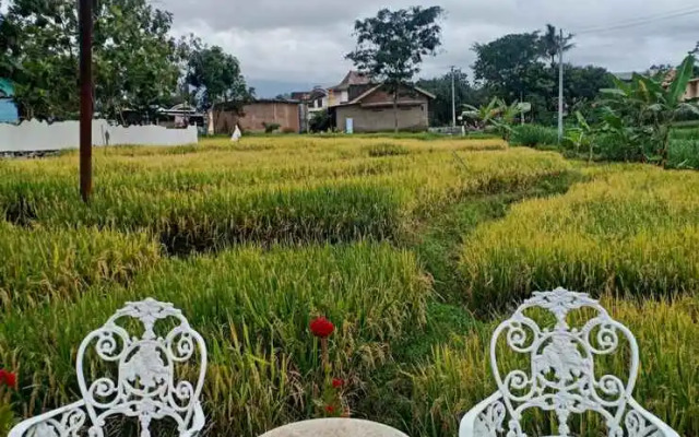 Putri Duyung Guest House