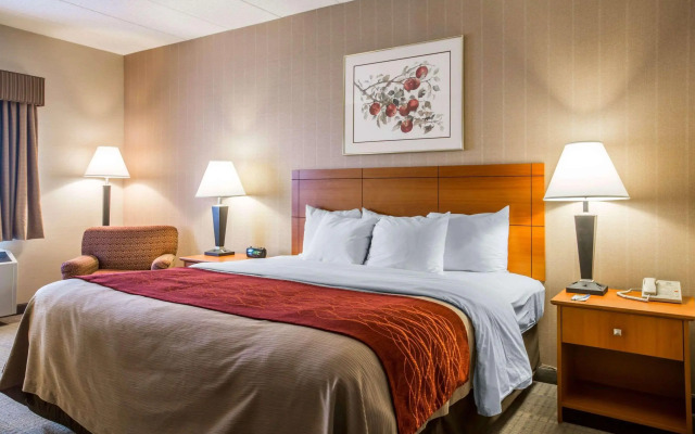 Comfort Inn