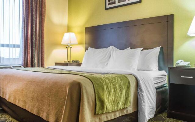 Comfort Hotel & Suites