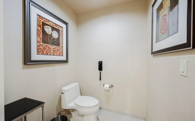 StripViewSuites at Signature