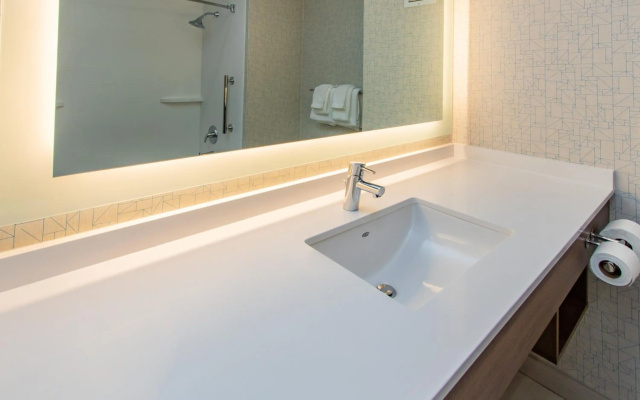 Holiday Inn Express Hotel & Suites Roseville-Galleria Area by IHG