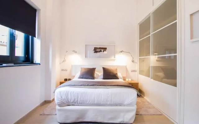 Valencia Luxury Downtown Penthouse