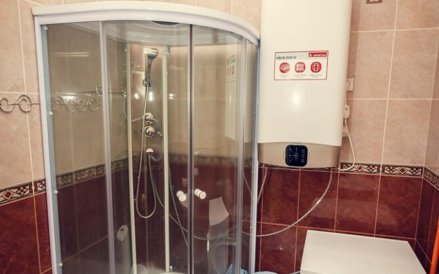 Gostevoy Dom Mishin na Nevskom