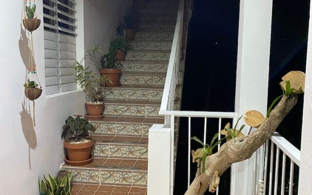 The Little One - Apartment 6 in Villa Coconut