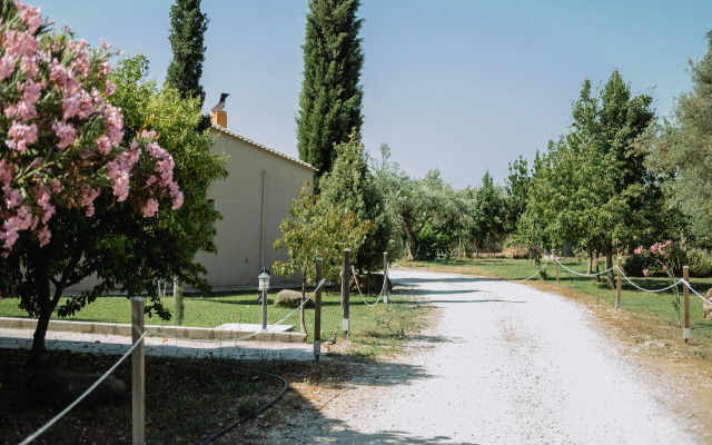 Socrates Organic Village - Wild Olive