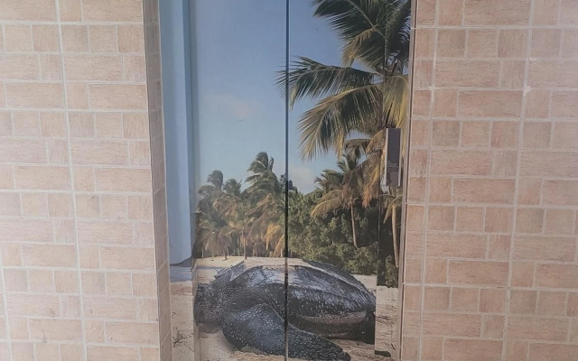 Hello Guyane (4), Suite Junior Luxury, 5 étoiles