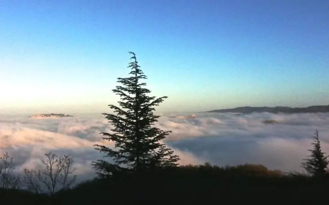 Casa Vacanze Monte Pincio