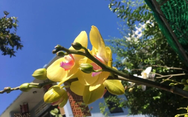 Cherry Garden Homestay