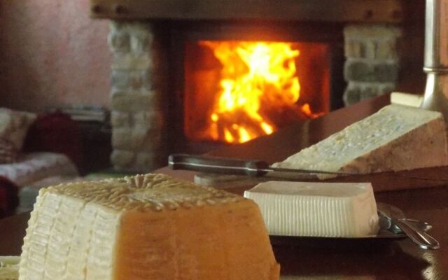 B&B Le Camelie Del Bosco