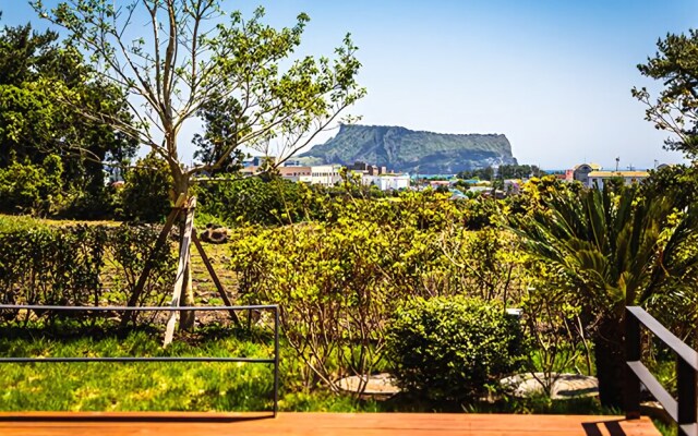 Seogwipo Hae-dam Pension