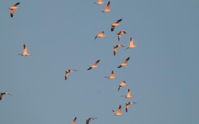 Vieille École du Rang 3